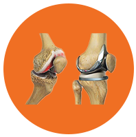 Ajara Hospitals Doctor