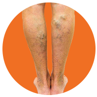 Ajara Hospitals Doctor